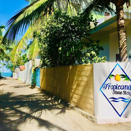 Tropicana Home Stay Arugam Bay Exterior foto