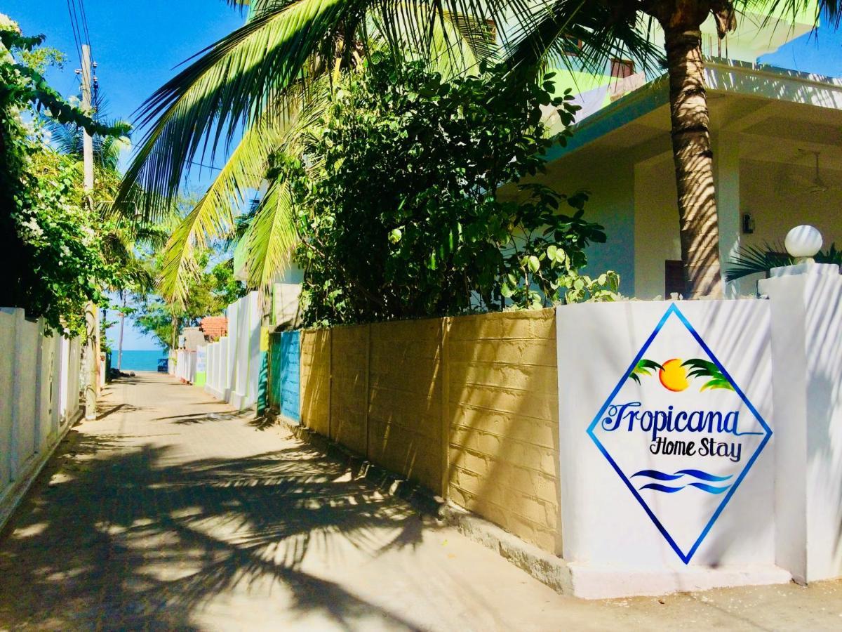 Tropicana Home Stay Arugam Bay Exterior foto